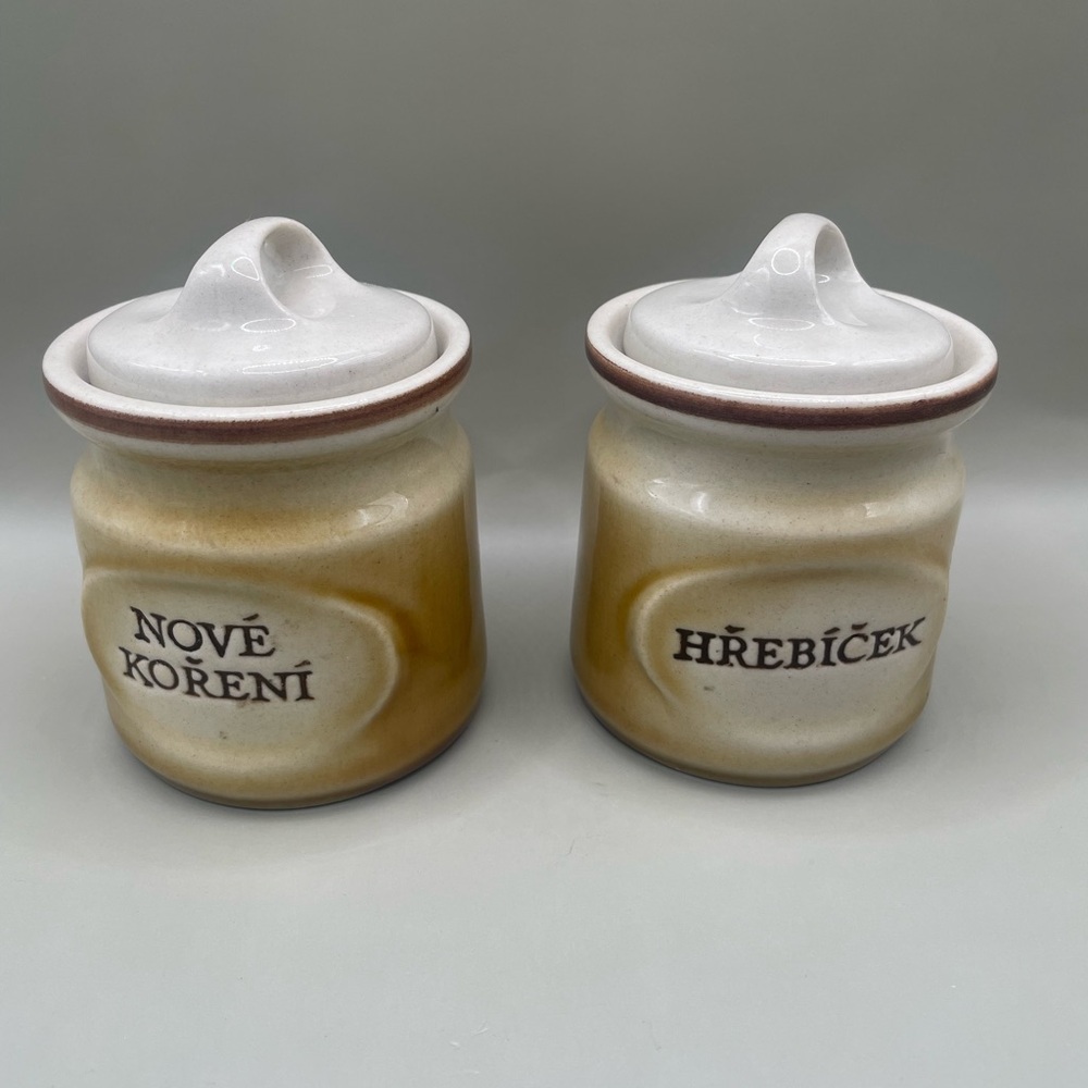 Vintage Ditmar Urbach Czechoslovakia Stoneware Spices And Cloves Jars Set Of 2